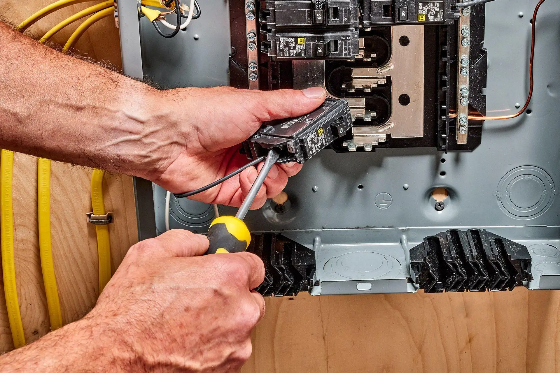 Rejuvenation panel